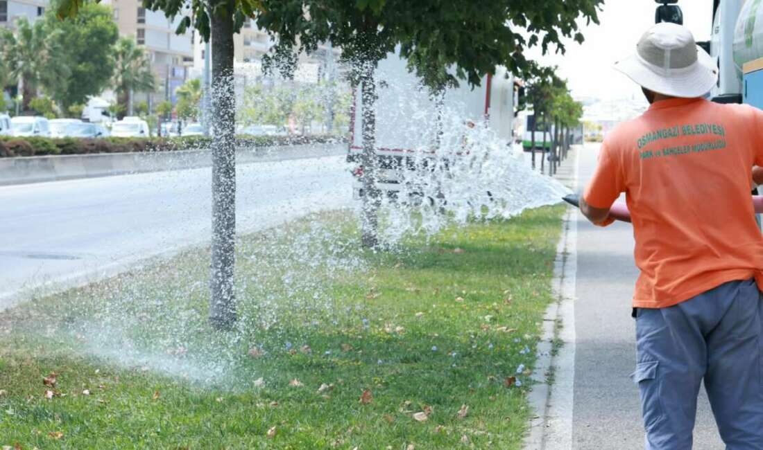 Osmangazi’de yeşil alanlara bakım zamanı! Osmangazi Belediyesi, yaz aylarında