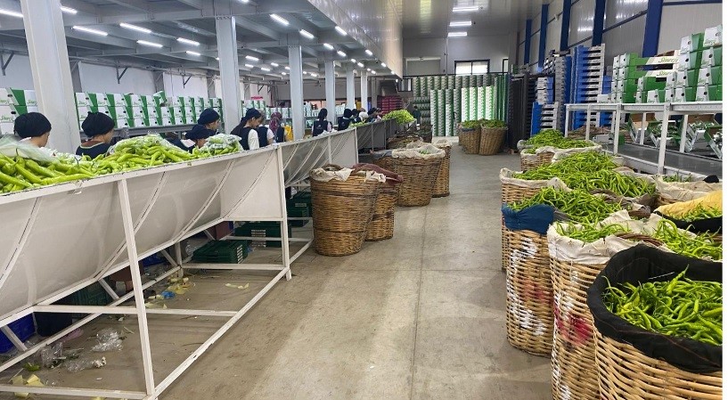 Bursa'nın dünyaca ünlü siyah