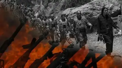 Halk arasında çerçeve yasa olarak