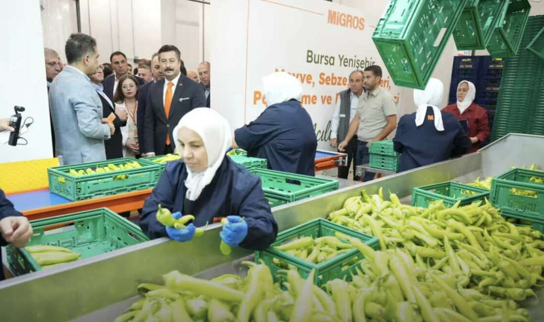 Bursa’nın Yenişehir ilçesinde Migros
