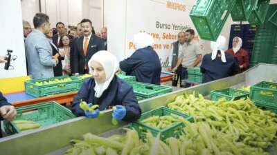 Bursa’nın Yenişehir ilçesinde Migros tarafından