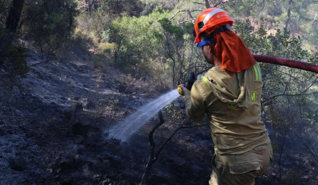 Tarım ve Orman Bakanı
