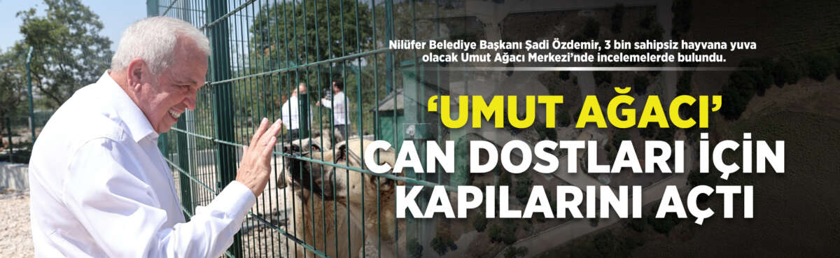 Nilüfer Belediye Başkanı Şadi Özdemir,