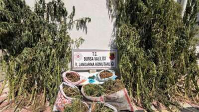 Bursa’nın Karacabey ilçesinde jandarma ekiplerince