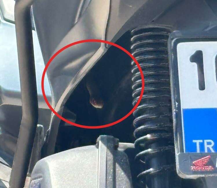 Bursa’nın İnegöl ilçesinde motosikletin