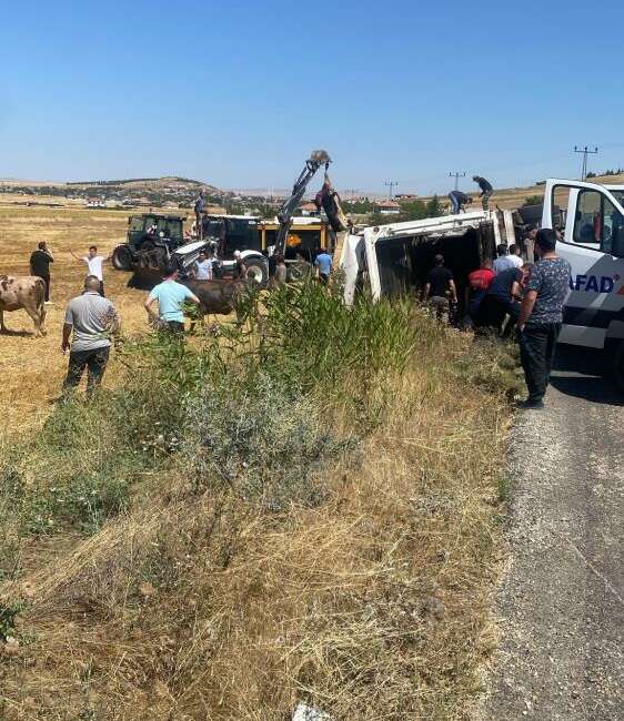 Hayvan yüklü tır bu hale geldi Kırşehir'in Boztepe ilçesinde hayvan