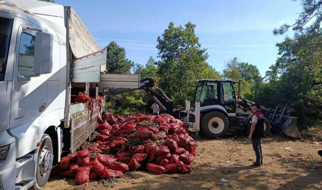 Bursa’da 8 ton midye ele geçirildi! İki sürücüye ceza Orhangazi’de jandarma ve İlçe