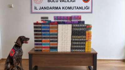 Bolu’da jandarma ekiplerince TEM Otoyolu