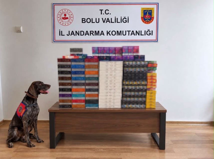 Yolcu otobüslerinde kaçak tütün operasyonu Bolu’da jandarma ekiplerince TEM