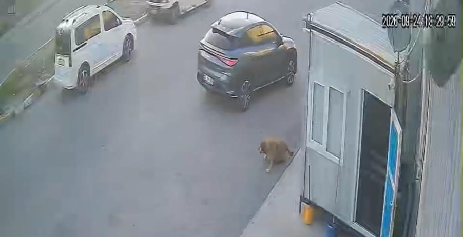 Afyonkarahisar'da bir sürücünün sokak