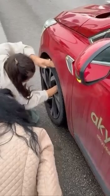 Bursa’da trafiği durduran olay; Yavru kediye yardım eli! Bursa'da bir anda ana