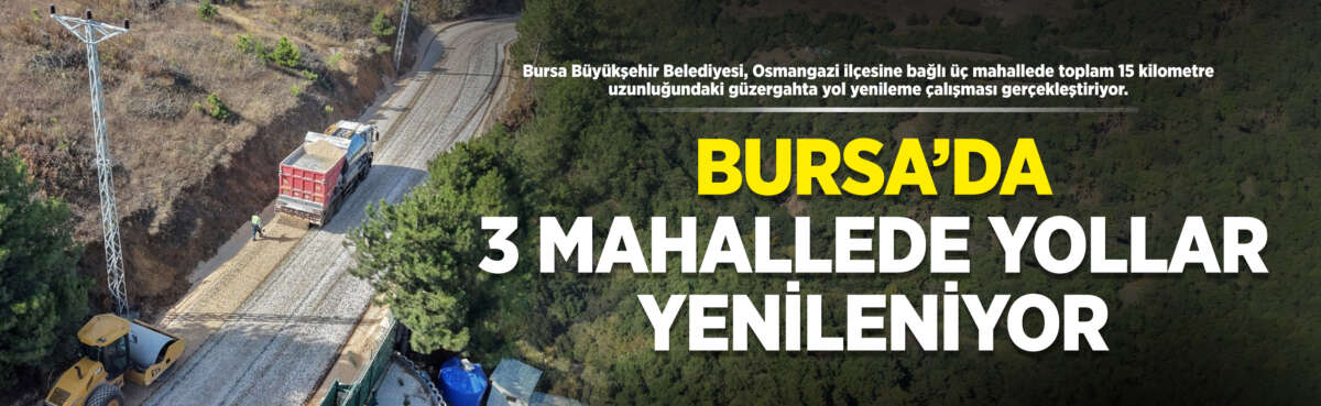 Bursa Büyükşehir Belediyesi, Osmangazi ilçesine