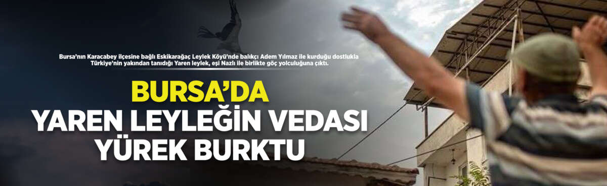 Bursa'nın Karacabey ilçesine bağlı Eskikarağaç