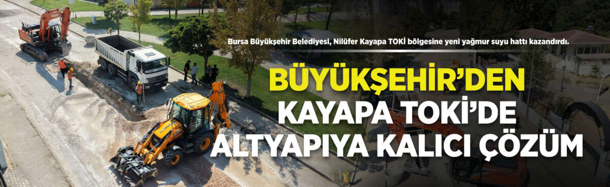 Bursa Büyükşehir Belediyesi, il genelinde