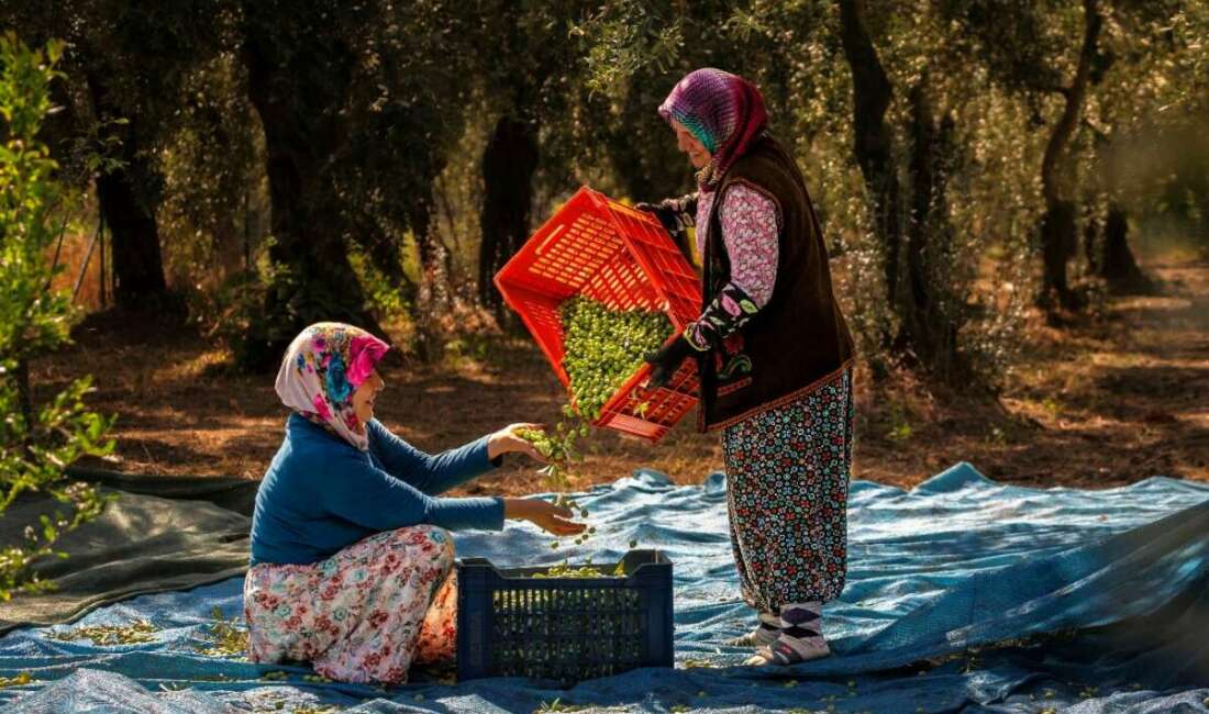 Ekinoks 2026 Fotoğraf Maratonu’nda kazananlar belli oldu İznik Belediyesi tarafından düzenlenen