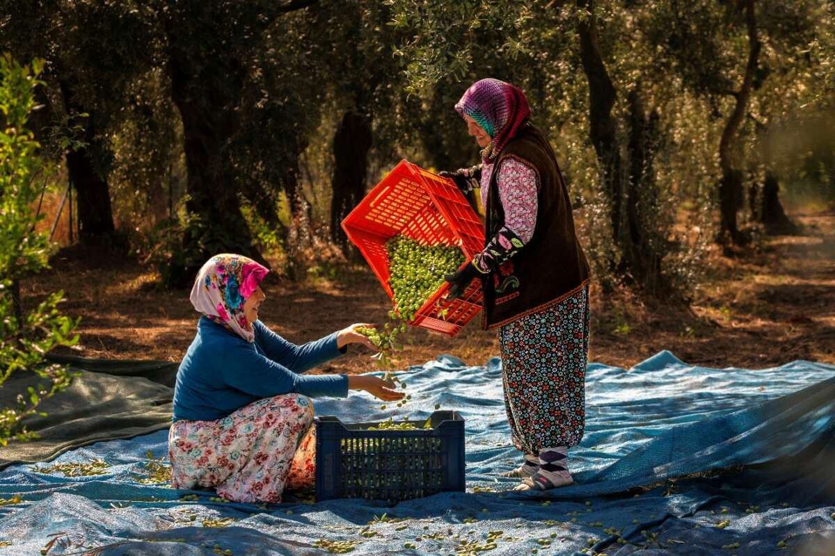 Ekinoks 2026 Fotoğraf Maratonu’nda kazananlar belli oldu