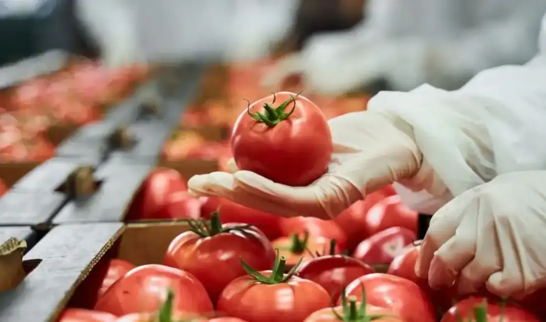 Gıda denetimlerinde 186,5 milyon liralık ceza Tarım ve Orman Bakanı