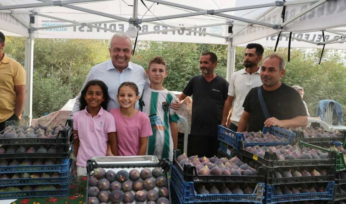 Bursa’da incir festivali coşkusu: Akçalar’da buluştular… Nilüfer Belediyesi’nin siyah inciri