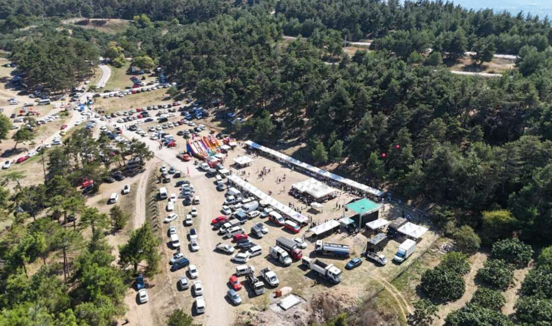 Bursa’nın siyah inciri için büyük buluşma! Binlerce kişi akın etti Osmangazi Belediyesi tarafından bu