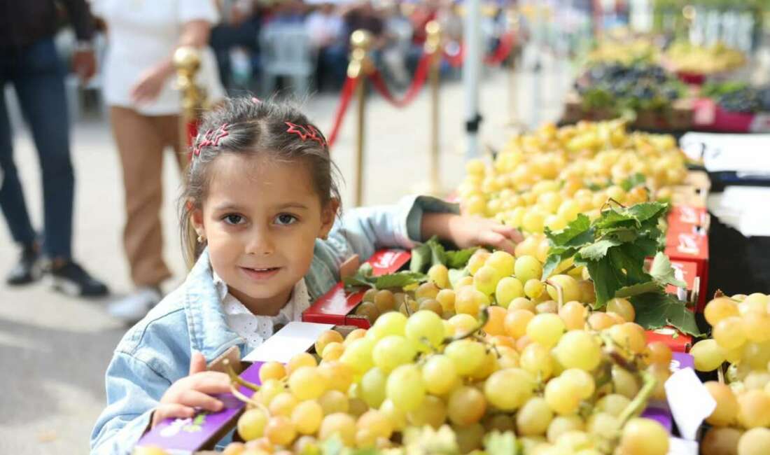 Osmangazi’de üzüm bereketi festivalle taçlandı 12. Osmangazi Karabalçık Üzüm