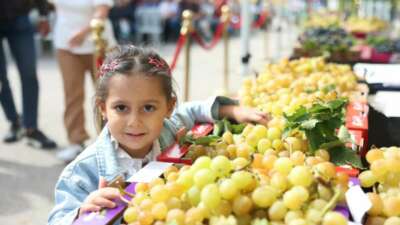 12. Osmangazi Karabalçık Üzüm Festivali’nde