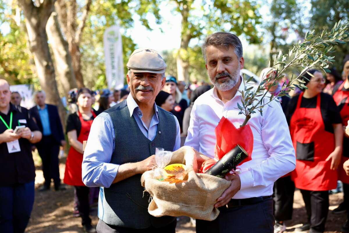 Zeytin kültürünün üretimden sofraya uzanan yolculuğu Bursa’daki bu festivalde!