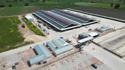 İnegöl’de bir mahallede görülen şap