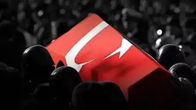 Milli Savunma Bakanlığı (MSB), Zeytin
