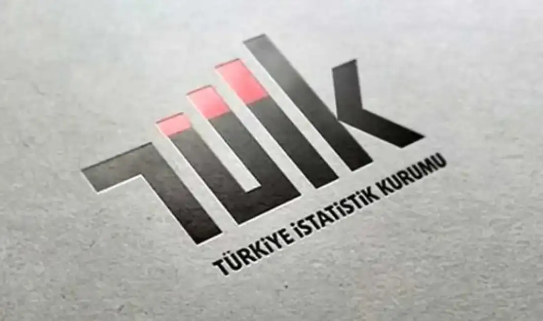 TÜİK Başkan Yardımcılığına Cihat Erce İşbaşar atandı Cumhurbaşkanlığı tarafından yapılan atama