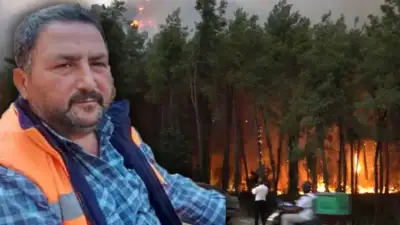 Türkiye’nin üç ilinde alevlerle mücadele