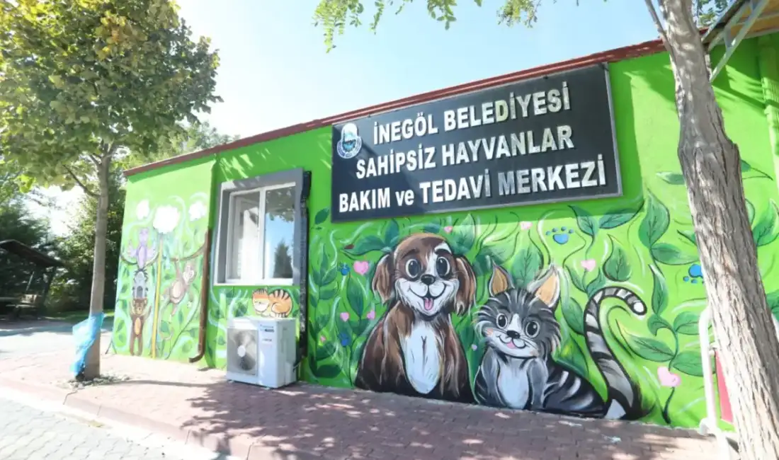 Bursa İnegöl’de bu duvarları görenler şaşırıyor! 4 Ekim Hayvanları Koruma