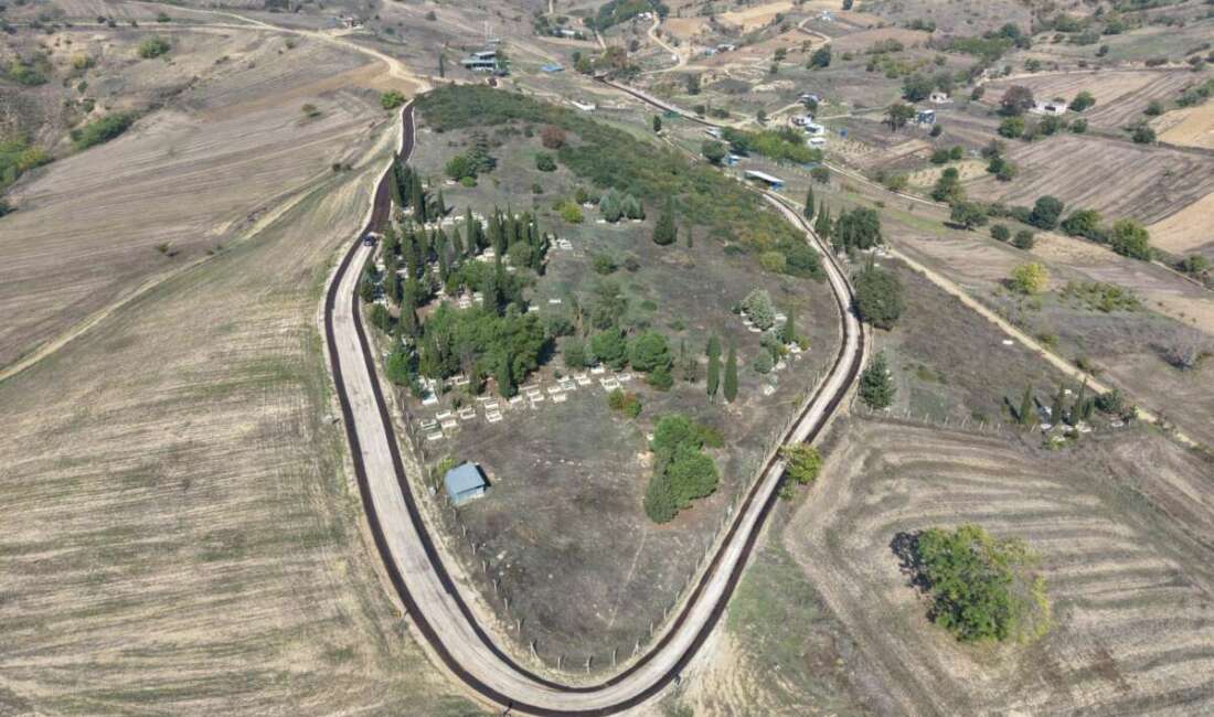 Bursa Büyükşehir Belediyesi, ulaşım