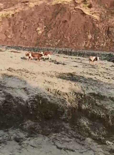 Elazığ’da sağanak yağışta meydana