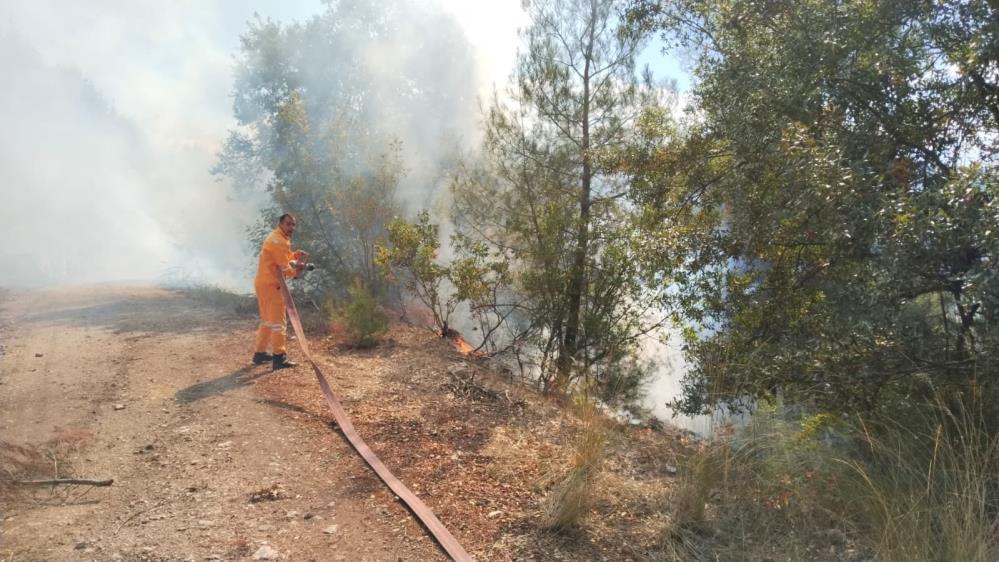 Bursa Keles’te korku dolu anlar! Bursa'nın Keles ilçesinde Kemaliye
