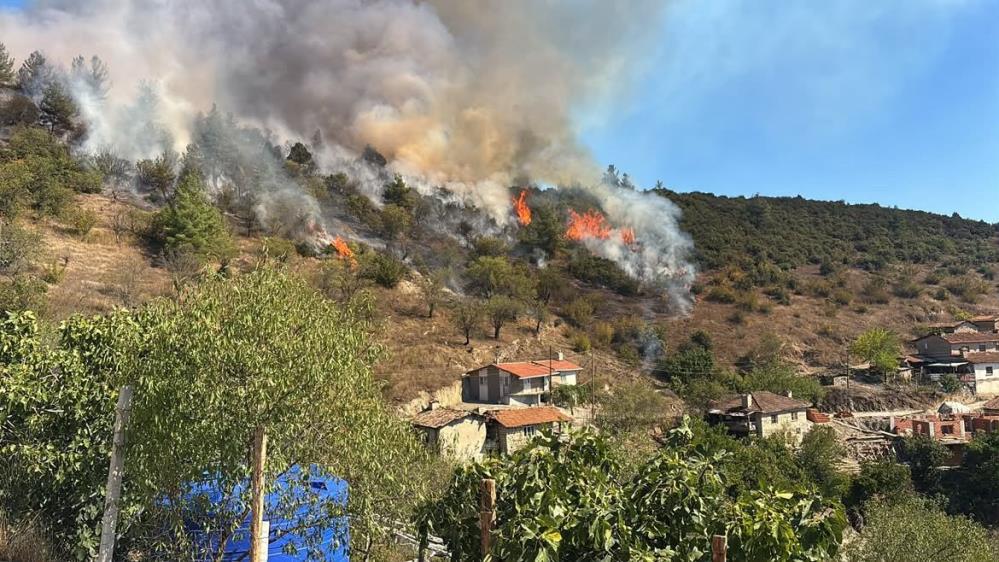 Bursa'nın Büyükorhan ilçesi Piribeyler