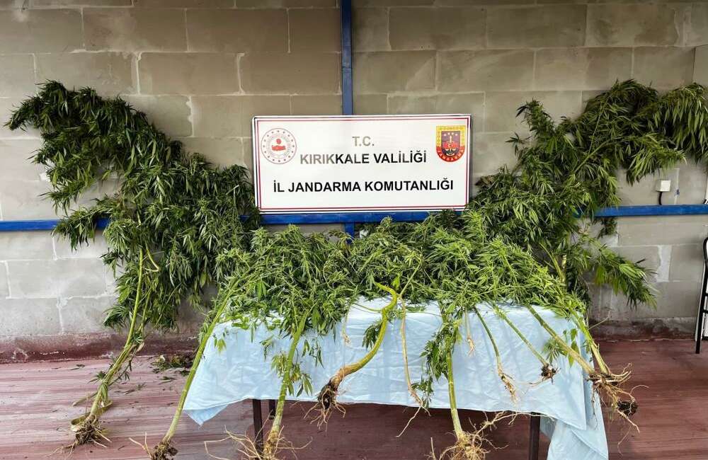 Narkotik köpeği “Evin” uyuşturucuyu böyle tespit etti! Kırıkkale'de jandarma ekiplerince