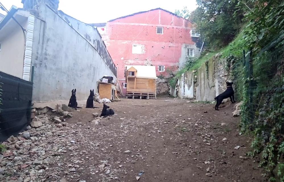 Bursa’da mahalleliyi sokağa döken olay! Bursa'nın Yıldırım ilçesinde mahalle