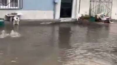  Bursa’da etkili olan şiddetli