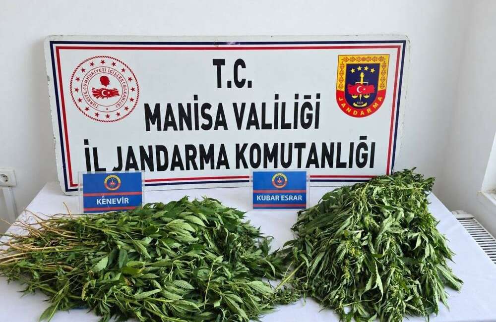 Manisa’da 4 ilçede düzenlenen