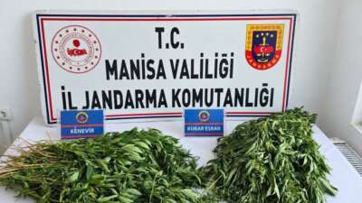 Manisa’da 4 ilçede düzenlenen uyuşturucu