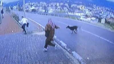 Bursa'nın Orhangazi ilçesinde durakta minibüs