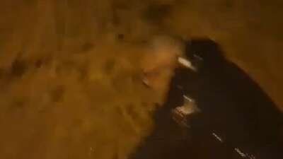 Yalova’nın Armutlu ilçesinde etkili olan