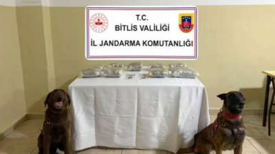 Bitlis’in Rahva bölgesindeki Üçyol mevkisinde