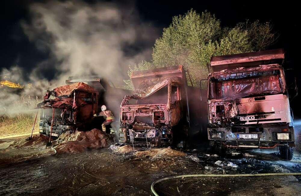 Edirne'de bir kamyonda çıkan