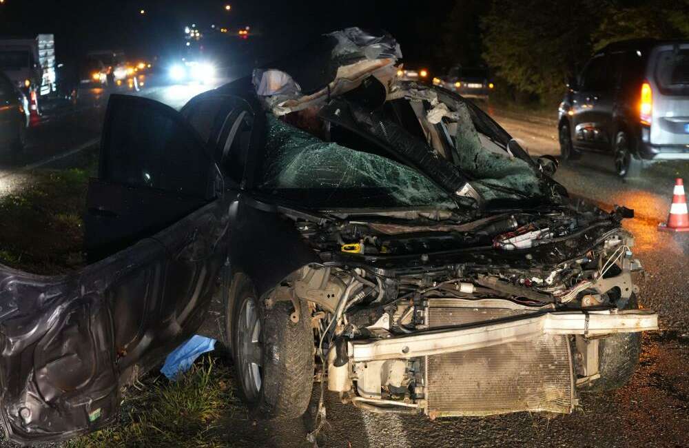 Büyükbaş hayvana çarpan otomobilin sürücüsü hayatını kaybetti Kastamonu'nun Taşköprü ilçesinde büyükbaş