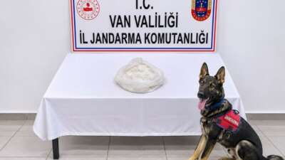 Van’ın Gevaş ilçesinde jandarma ekiplerince