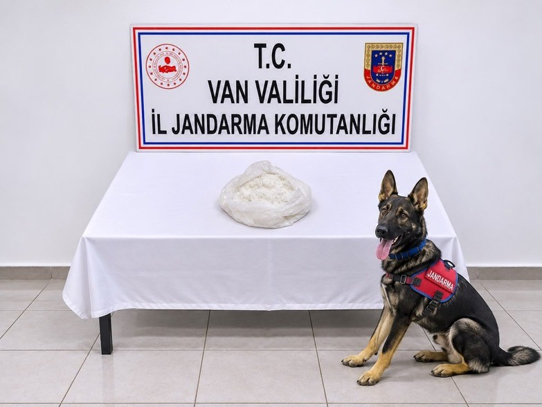 Van’ın Gevaş ilçesinde jandarma