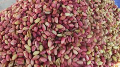 ABD Tarım Bakanlığı (USDA) Dış