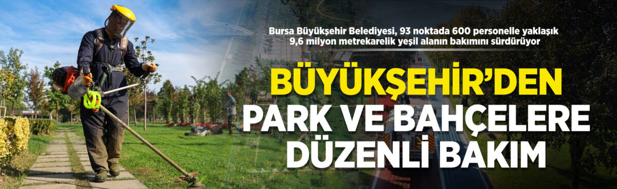 Bursa Büyükşehir Belediyesi, sorumluluk