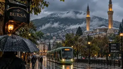 Yağışlı ve serin havanın ardından